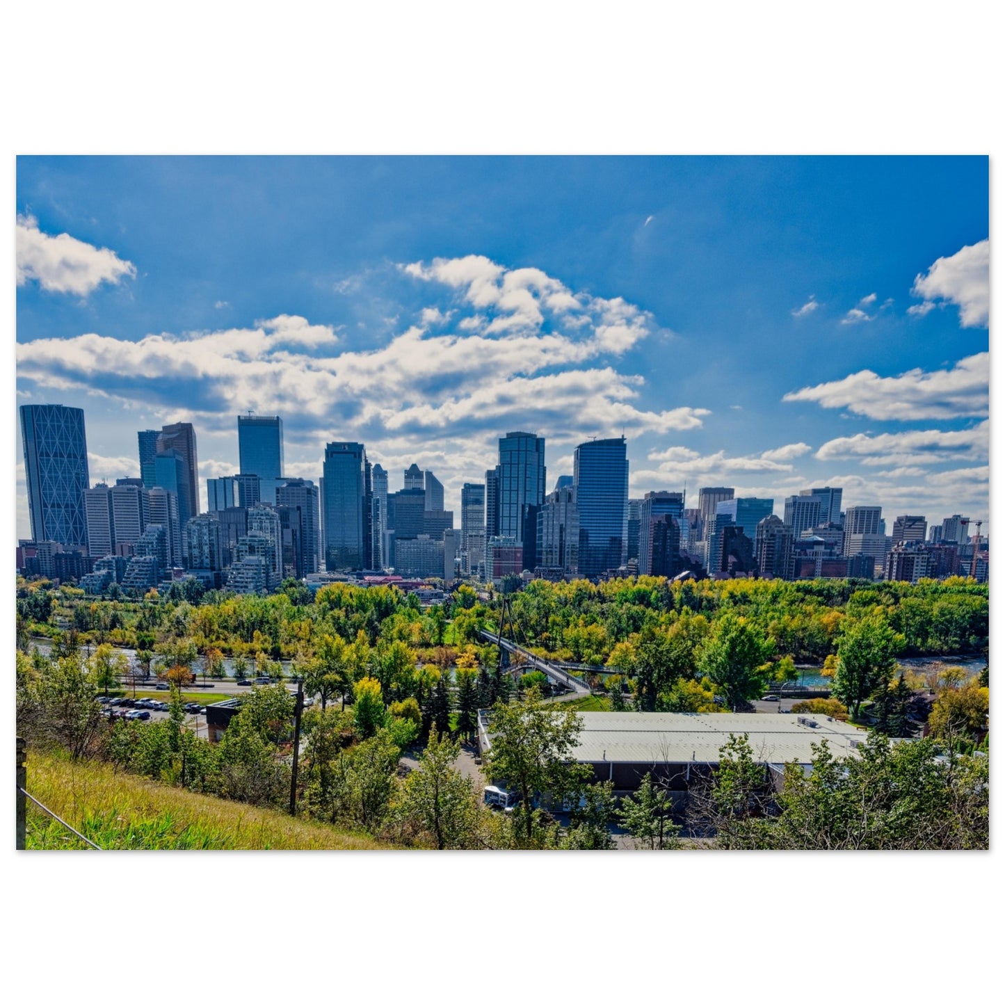 Foam Print - Downtown Calgary McHugh Bluff Fall