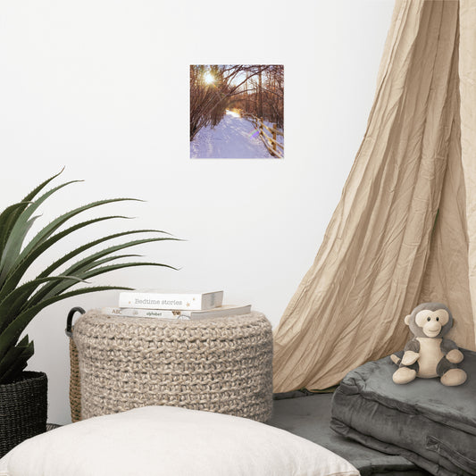 Matte Poster Print - Riverdale Park Forest Winter
