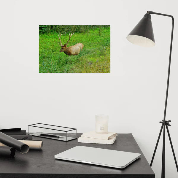 Matte Poster Prints