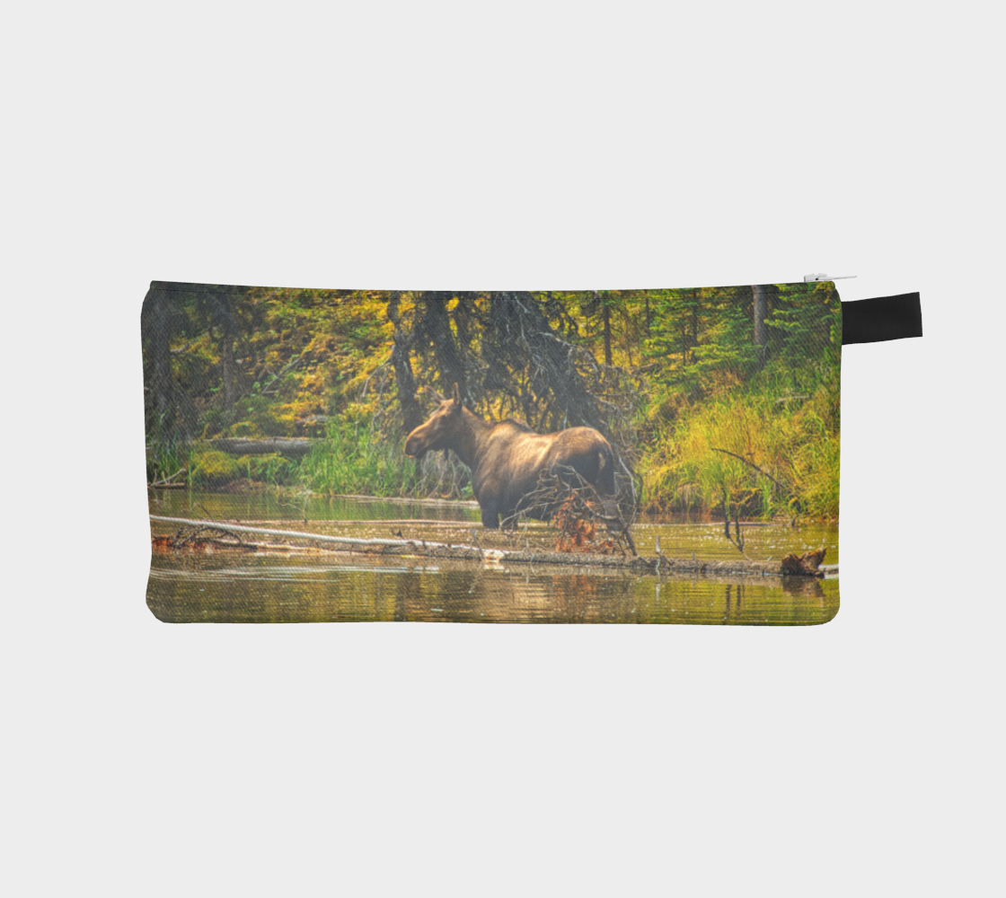 Pencil Cases