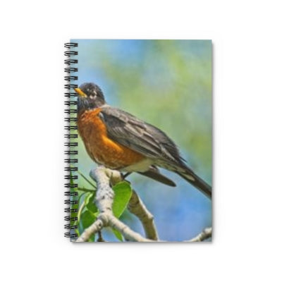 Journals and Notebooks