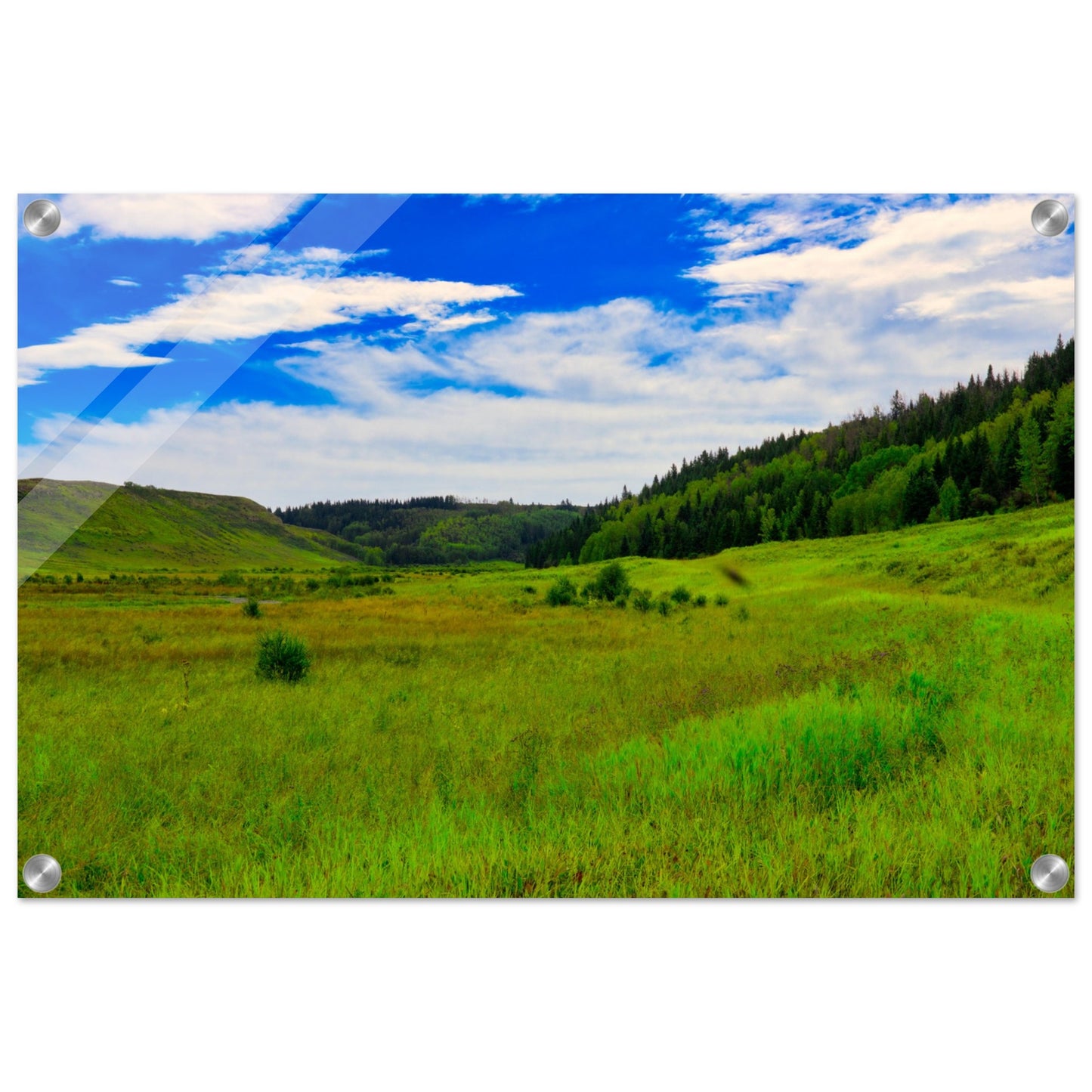 03ec56e9-eebc-4f6b-9eba-7e04959e4e69
