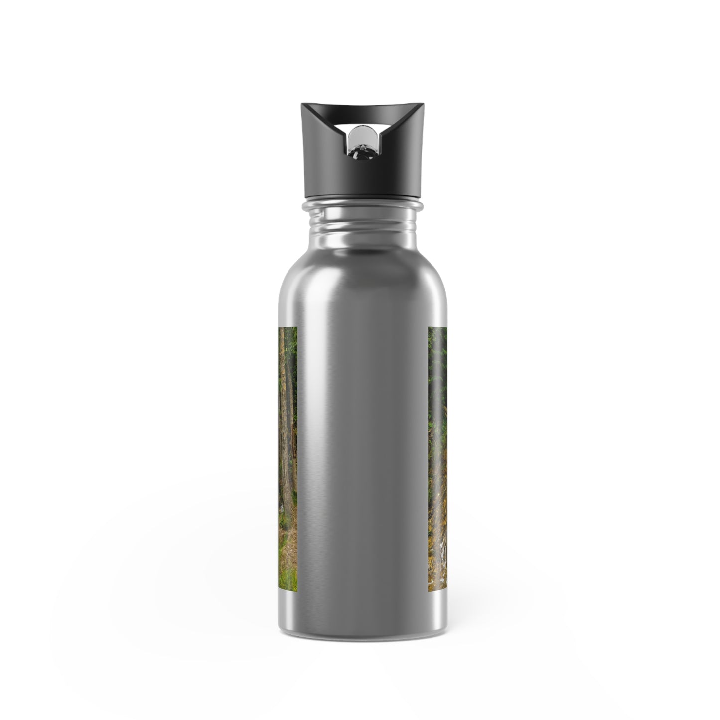 Stainless Steel Water Bottle With Straw, 20oz - Big Hill Springs Park Waterfall