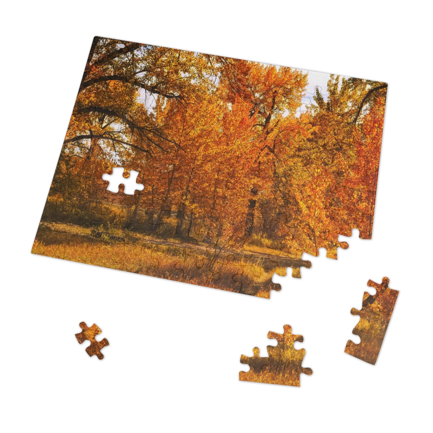 Jigsaw Puzzle (30, 110, 252, 500,1000-Piece) - Sue Higgins Park Fall Trees