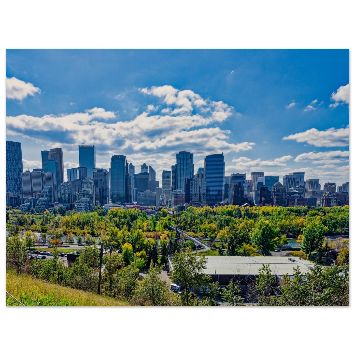 Foam Print - Downtown Calgary McHugh Bluff Fall