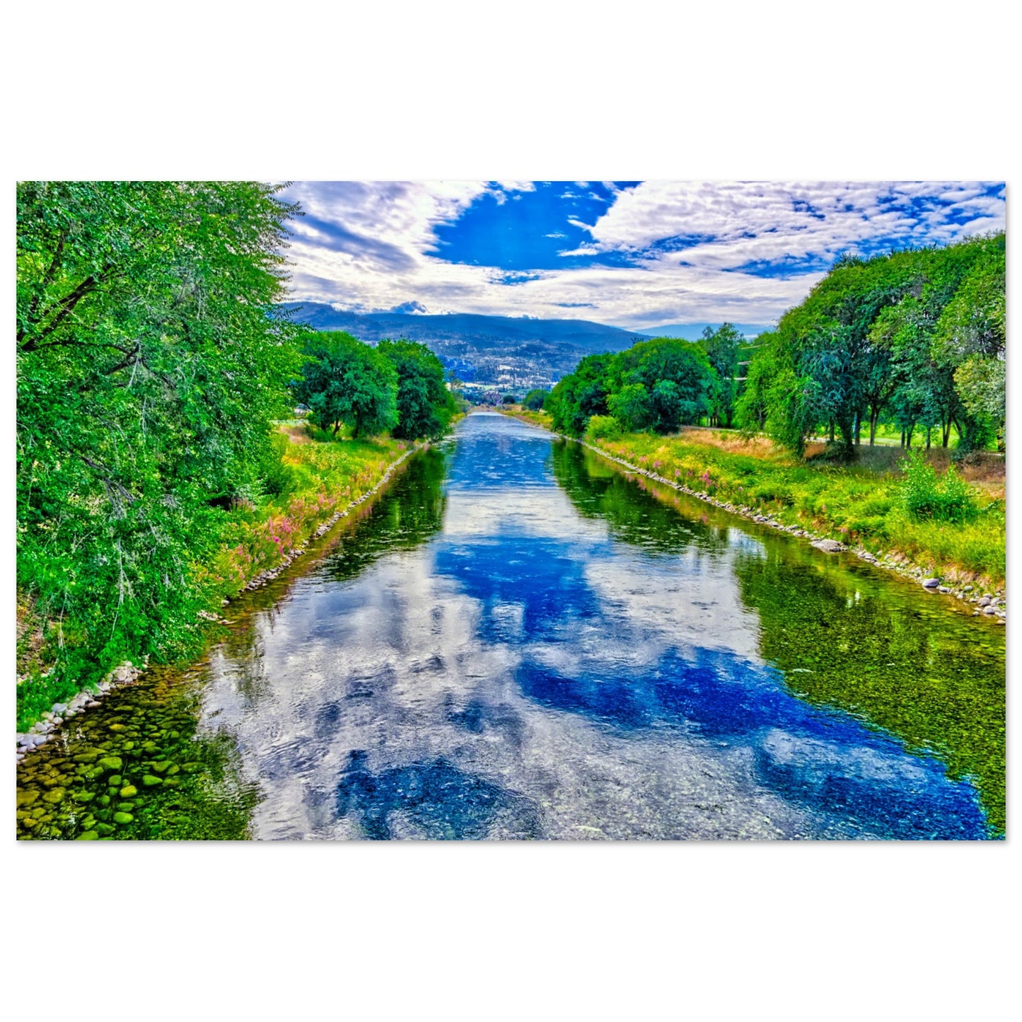 1cecd683-f9f4-48cc-8024-e0040128291e