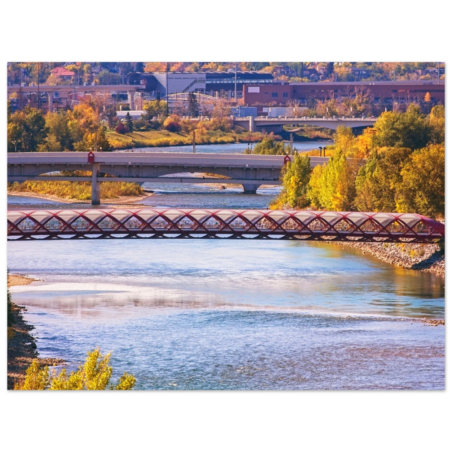Foam Print - Peace Bridge McHugh Bluff Fall