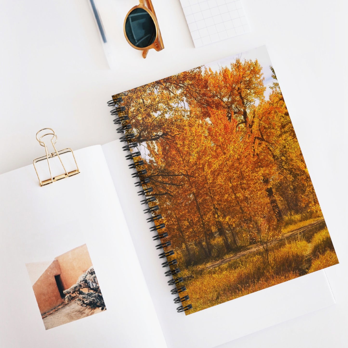 Ruled Line Spiral Notebook - Sue Higgins Park Fall Trees