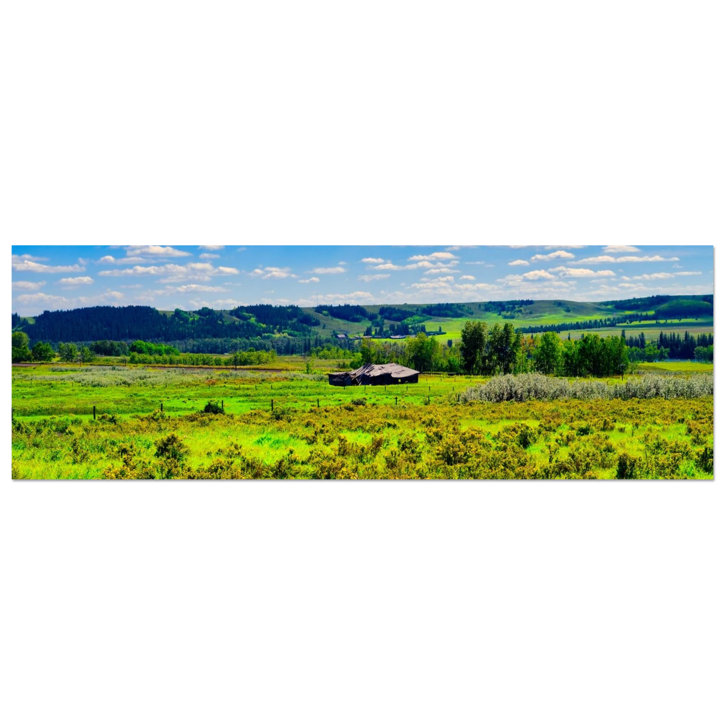 379d6233-bb5a-4fad-8ae2-460858b1864b