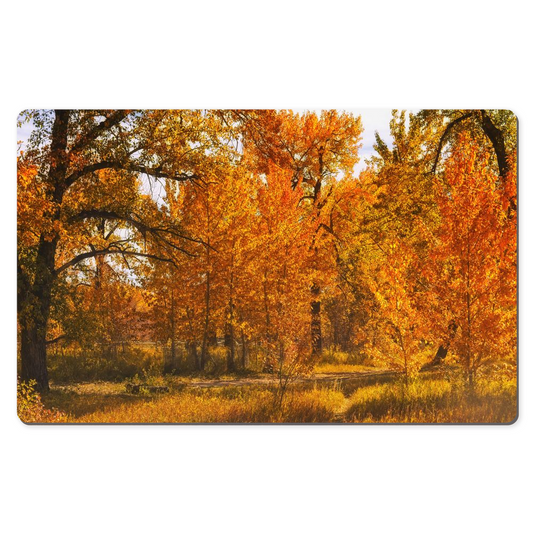 Desk Mats - Sue Higgins Park Fall Colours