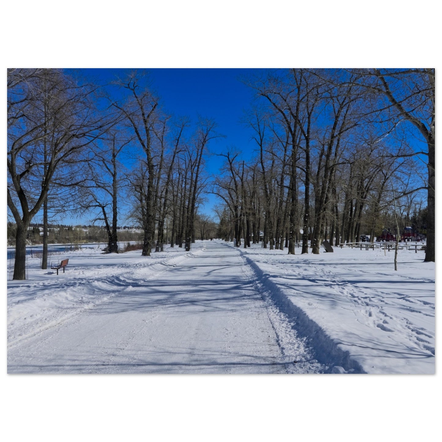 3c8dc411-4797-4210-8274-f6828c1edfe9