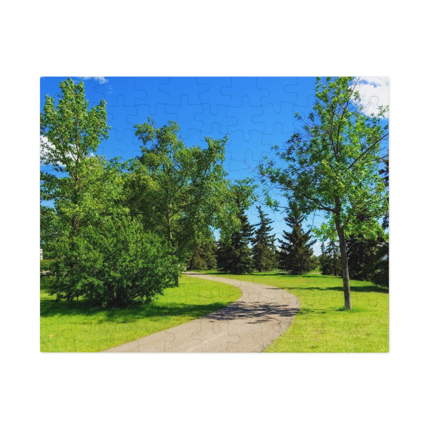 Jigsaw Puzzle (30, 110, 252, 500,1000-Piece) - Calgary in the Summer