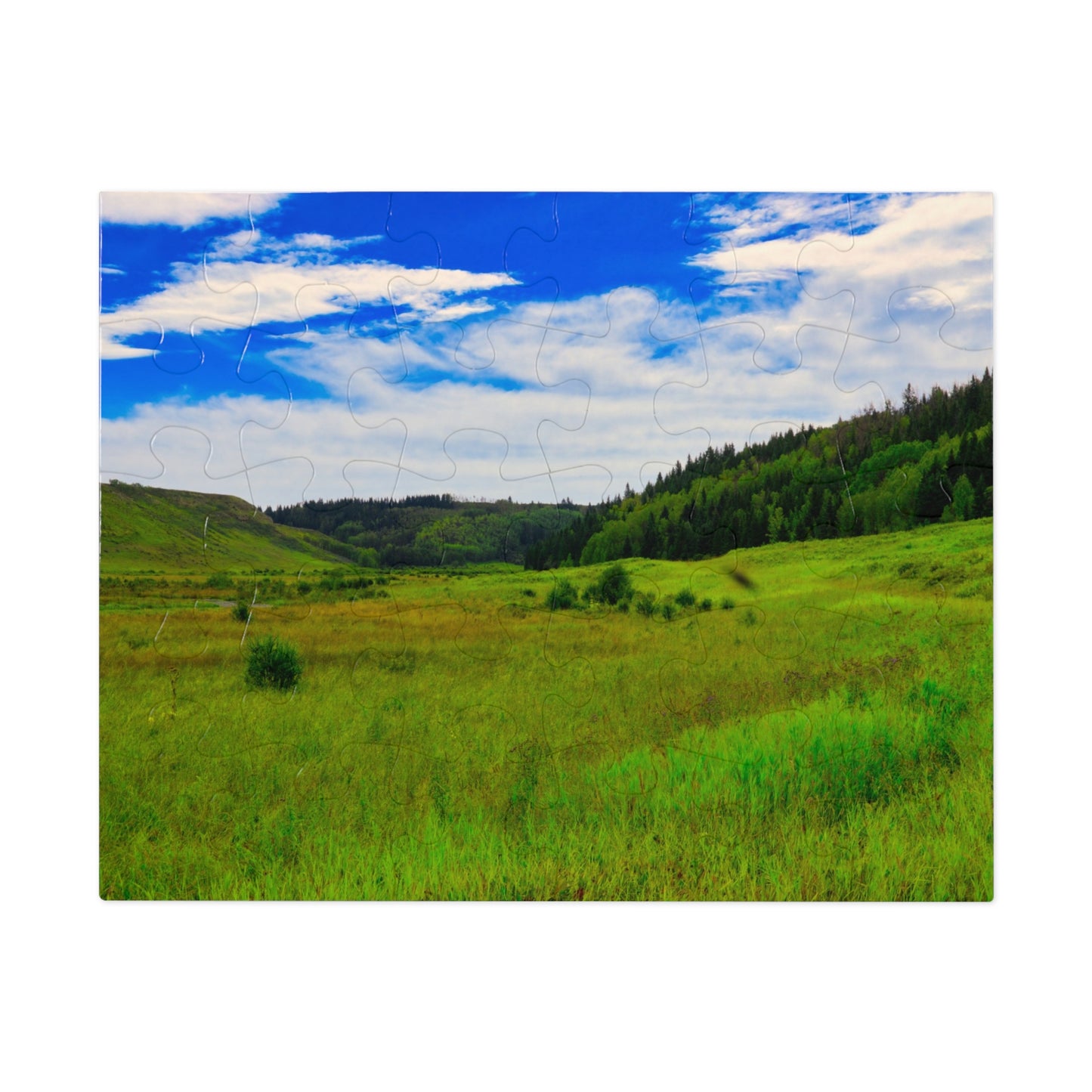 Jigsaw Puzzle - Big Hill Springs Park Entrance