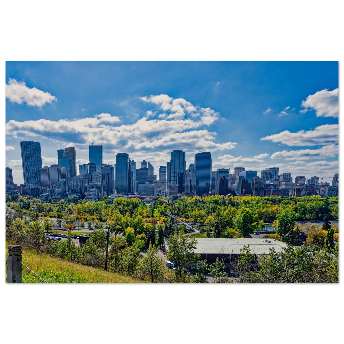 Foam Print - Downtown Calgary McHugh Bluff Fall