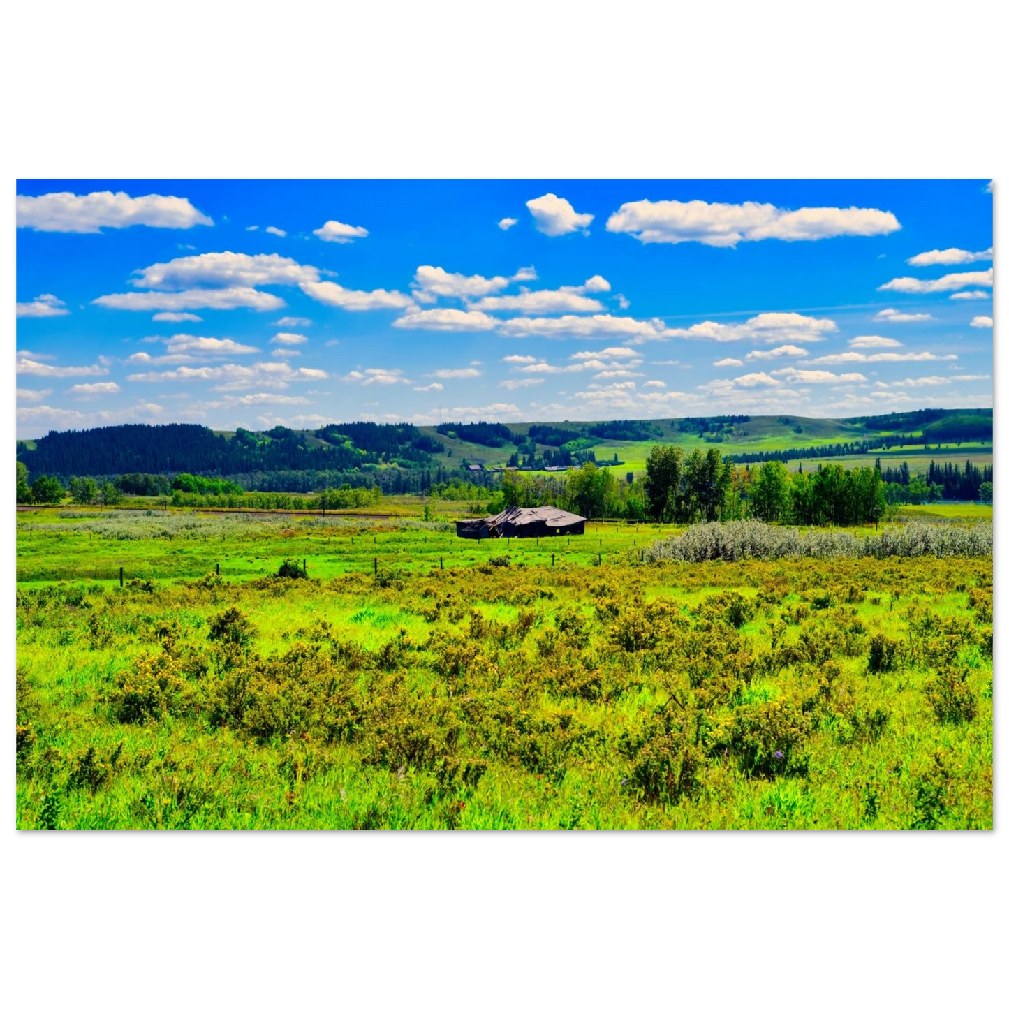 69481d85-b8cf-4c26-8ac7-81faf6d5068f
