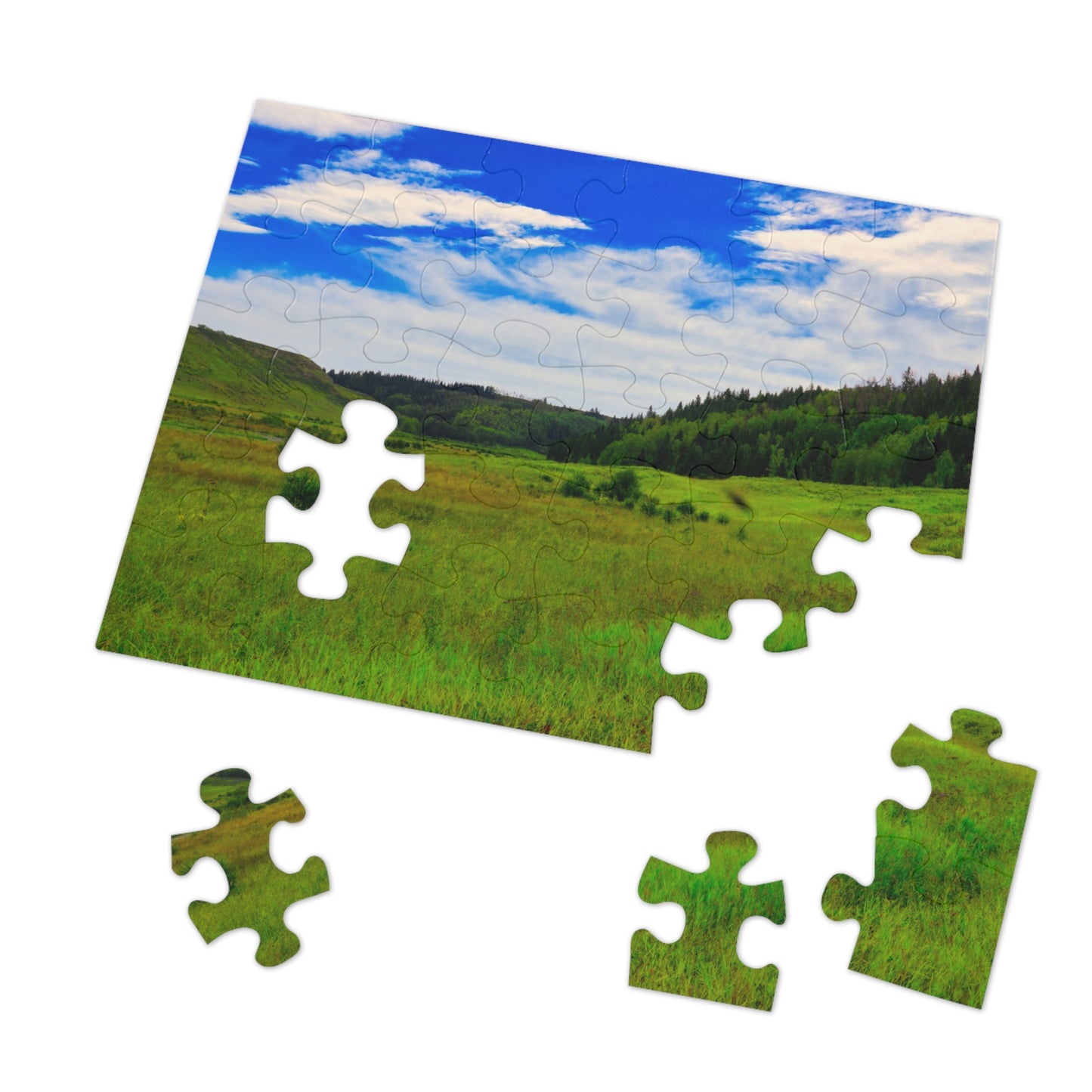 Jigsaw Puzzle - Big Hill Springs Park Entrance