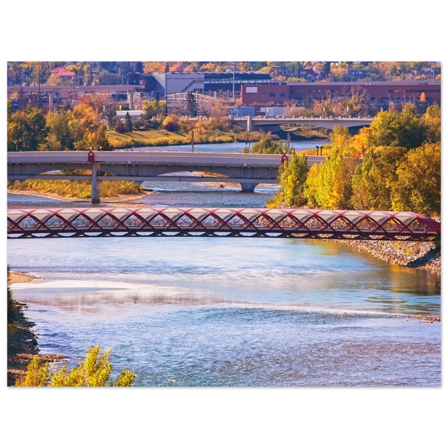 Premium Semi-Glossy Poster Print - Peace Bridge McHugh Bluff