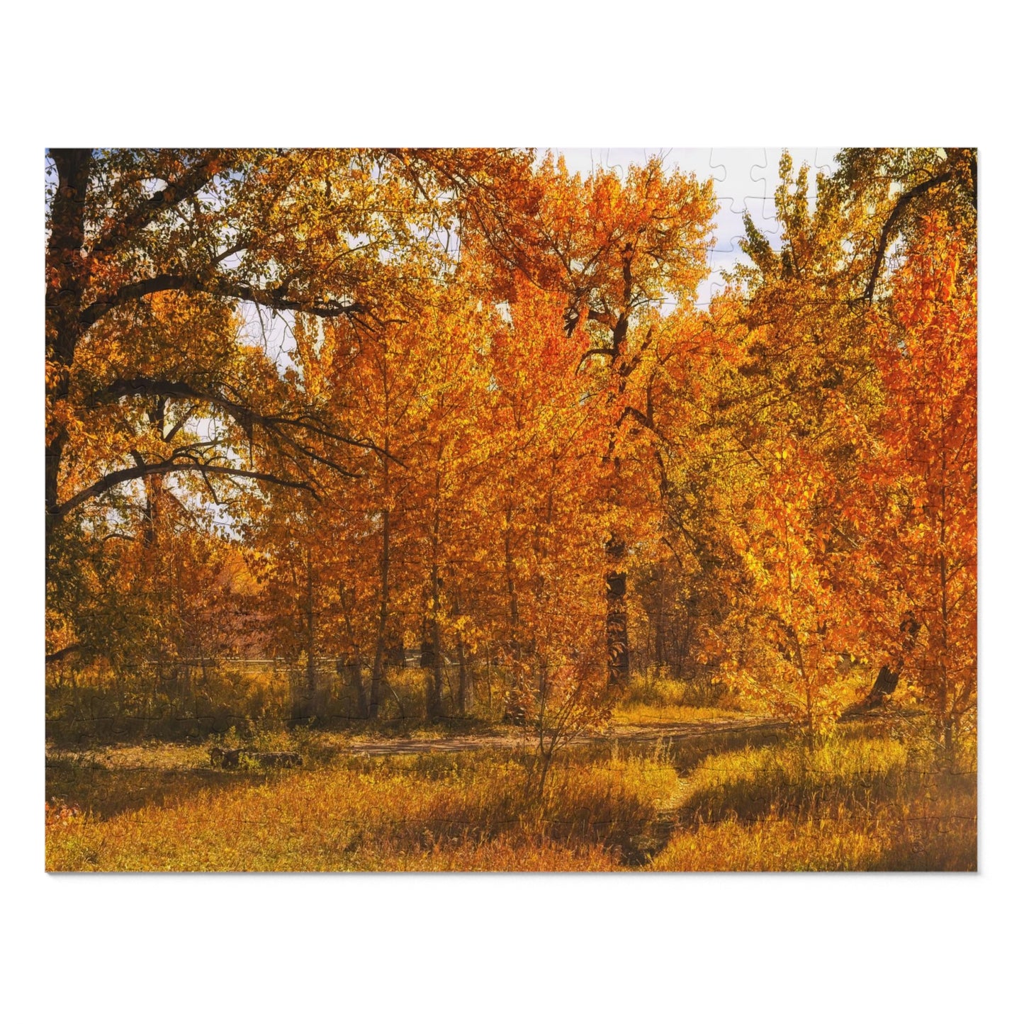 Jigsaw Puzzle (30, 110, 252, 500,1000-Piece) - Sue Higgins Park Fall Trees