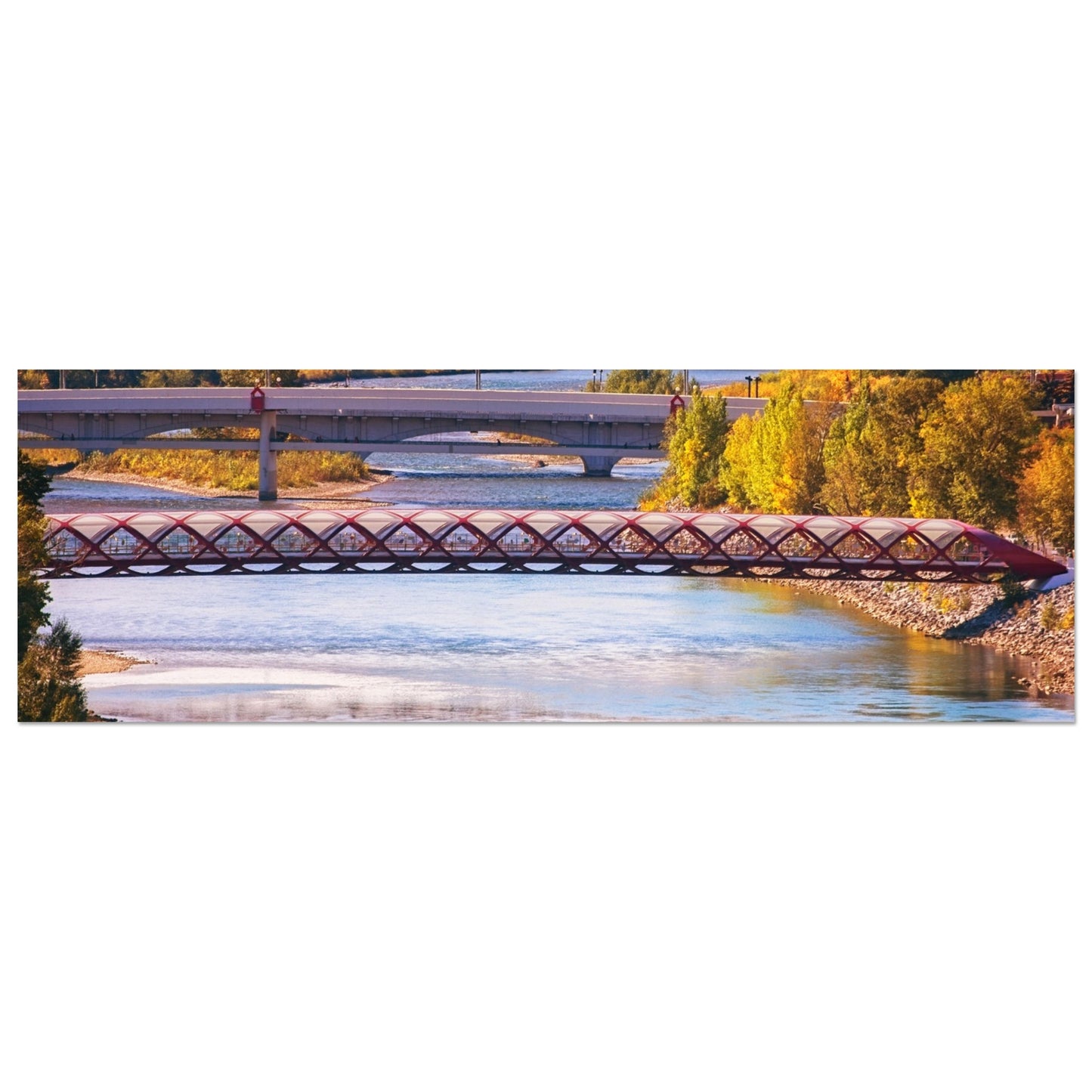 8b8332ab-7379-4713-94b1-48d9703d198c