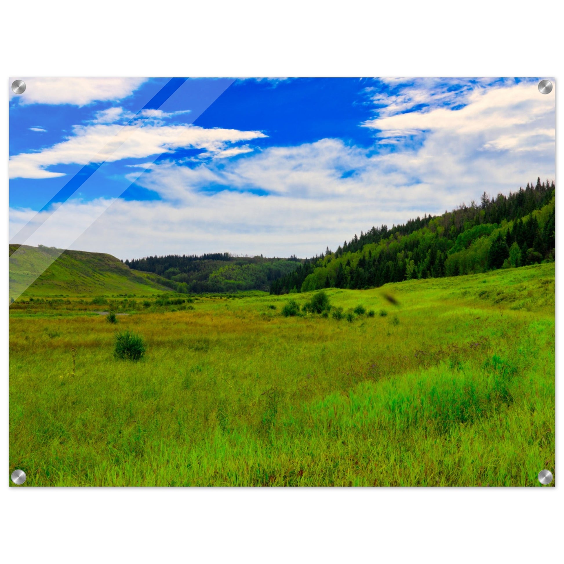 951326fd-d055-42d3-b894-7888f79c98c4