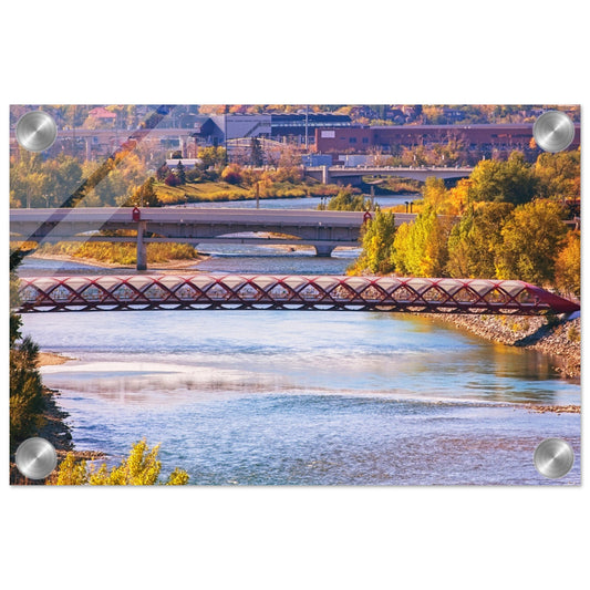 Acrylic Print - Peace Bridge McHugh Bluff Fall