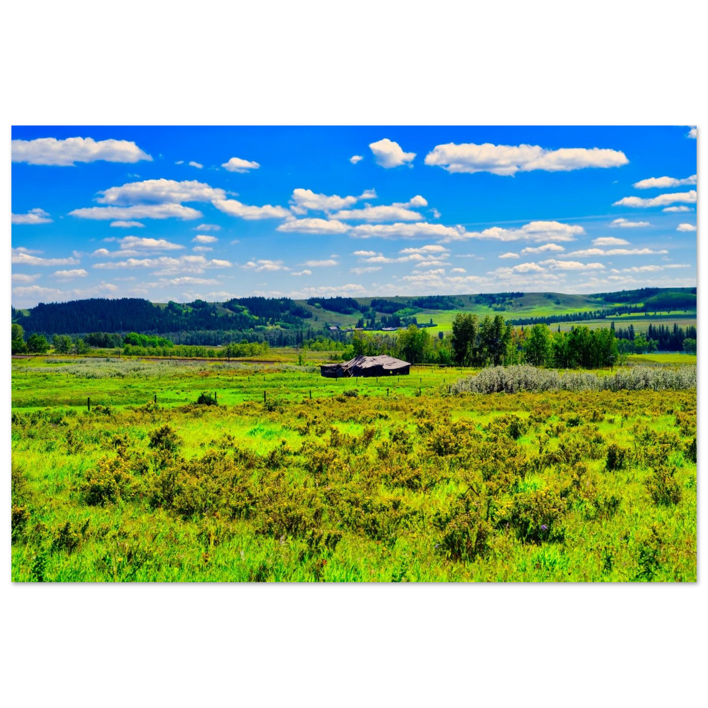 9c150f10-3724-4a2e-b6a8-736ec0b142e7