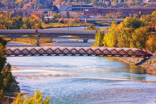 Peace Bridge McHugh Bluff Fall Digital Download