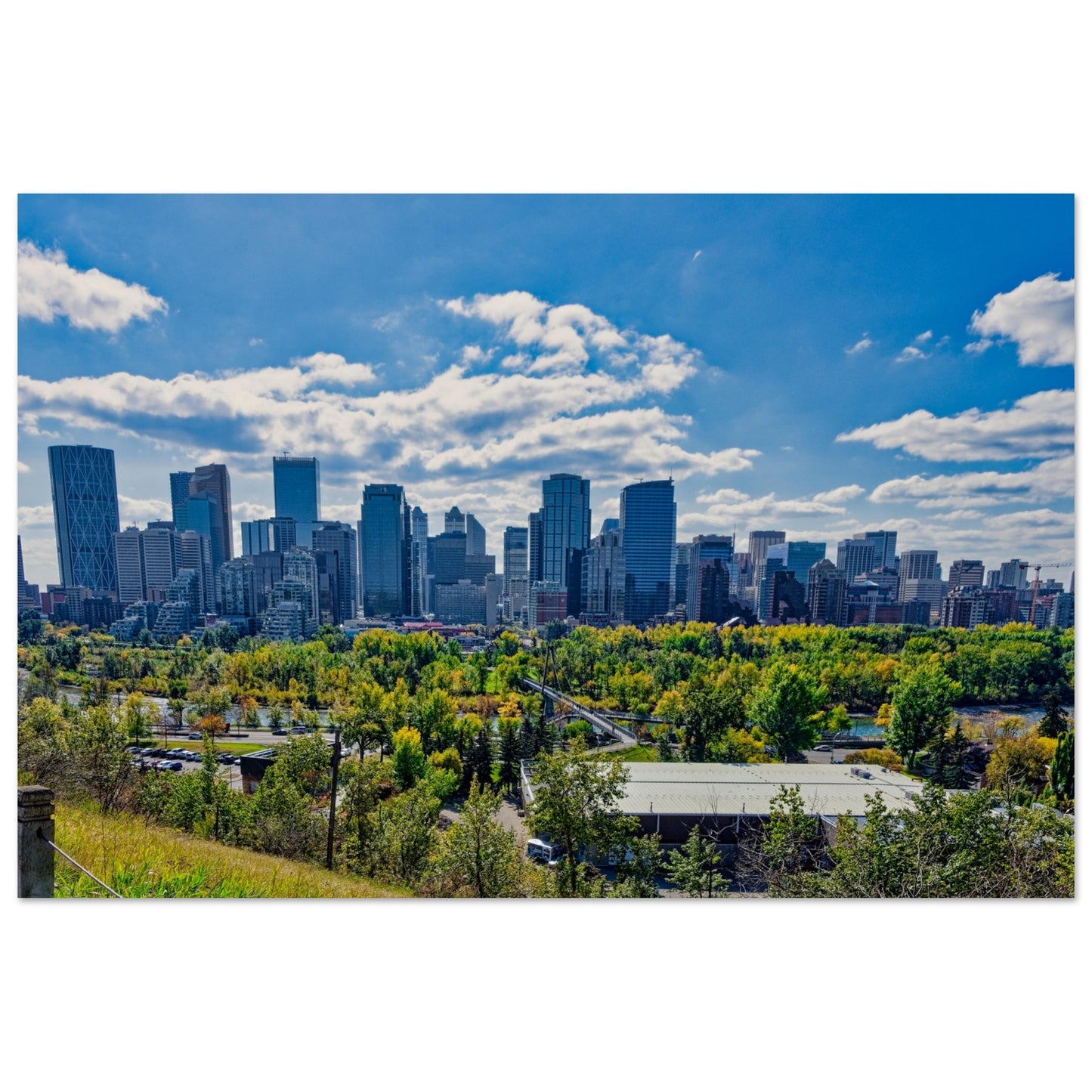 Premium Semi-Glossy Poster Print - Downtown Calgary McHugh Bluff Fall