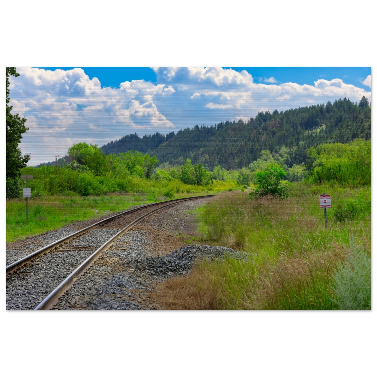 b0320892-1918-42f3-ba46-d51264520298