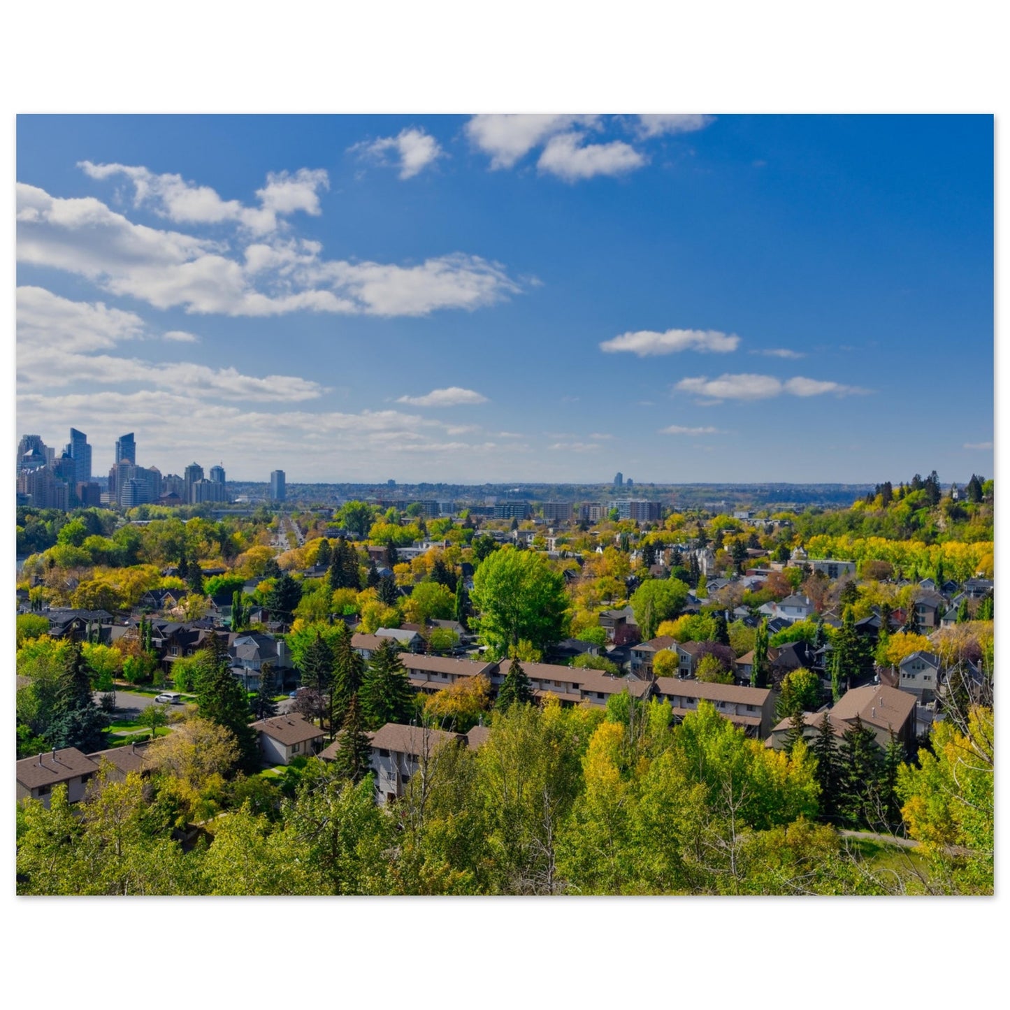 Premium Semi-Glossy Poster Print - McHugh Bluff Fall