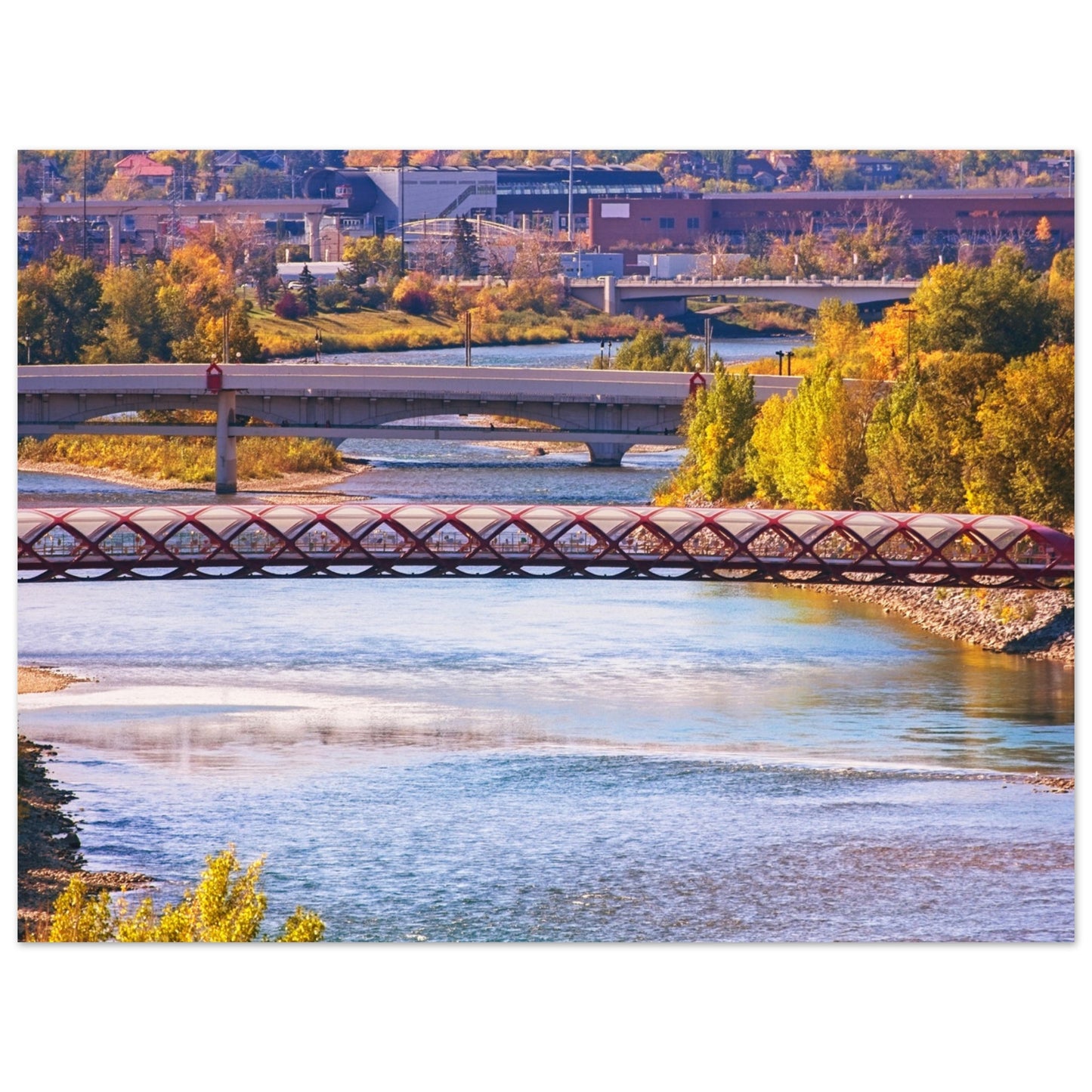 Foam Print - Peace Bridge McHugh Bluff Fall