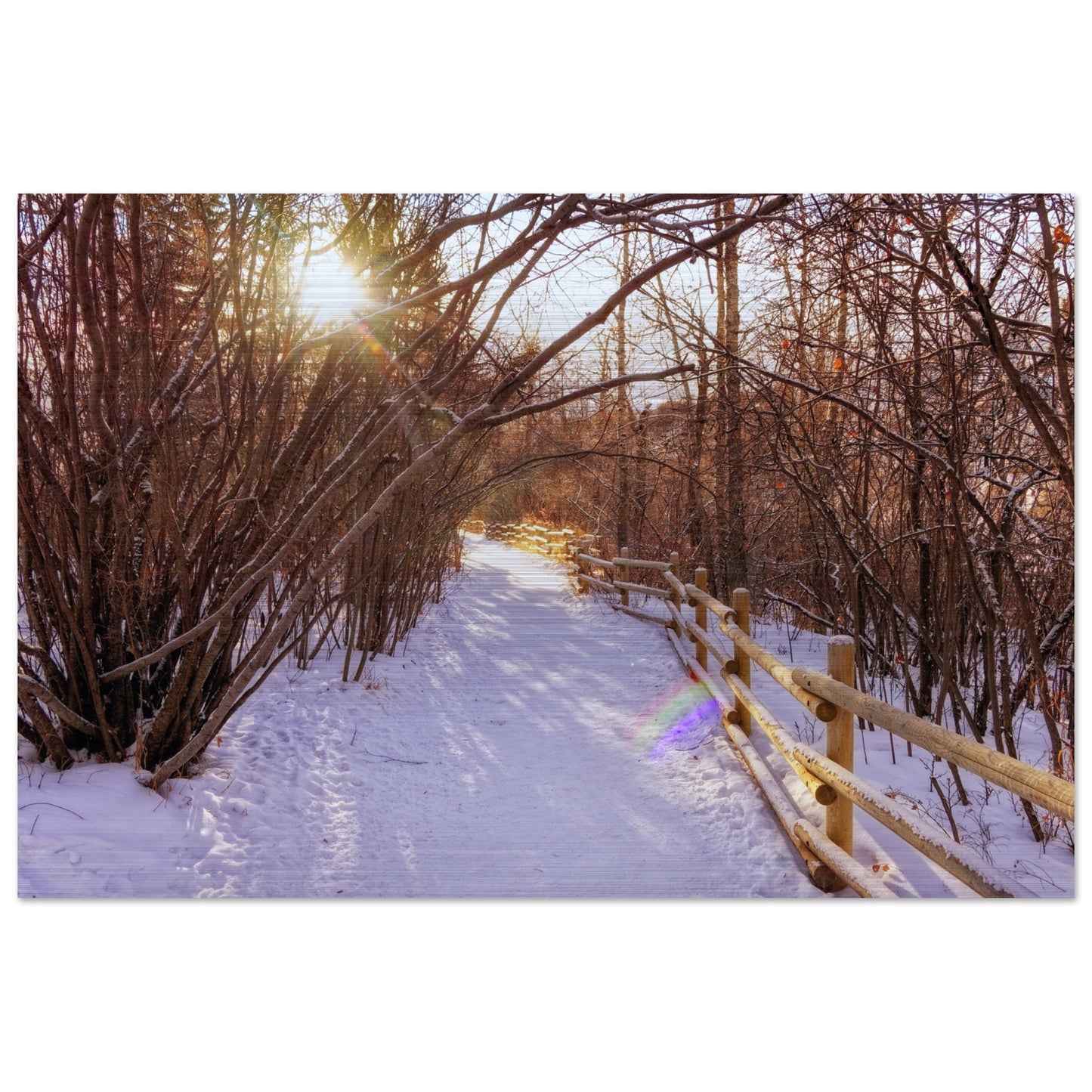 b98b9767-73b2-4eac-9e07-92fb843ef7b1