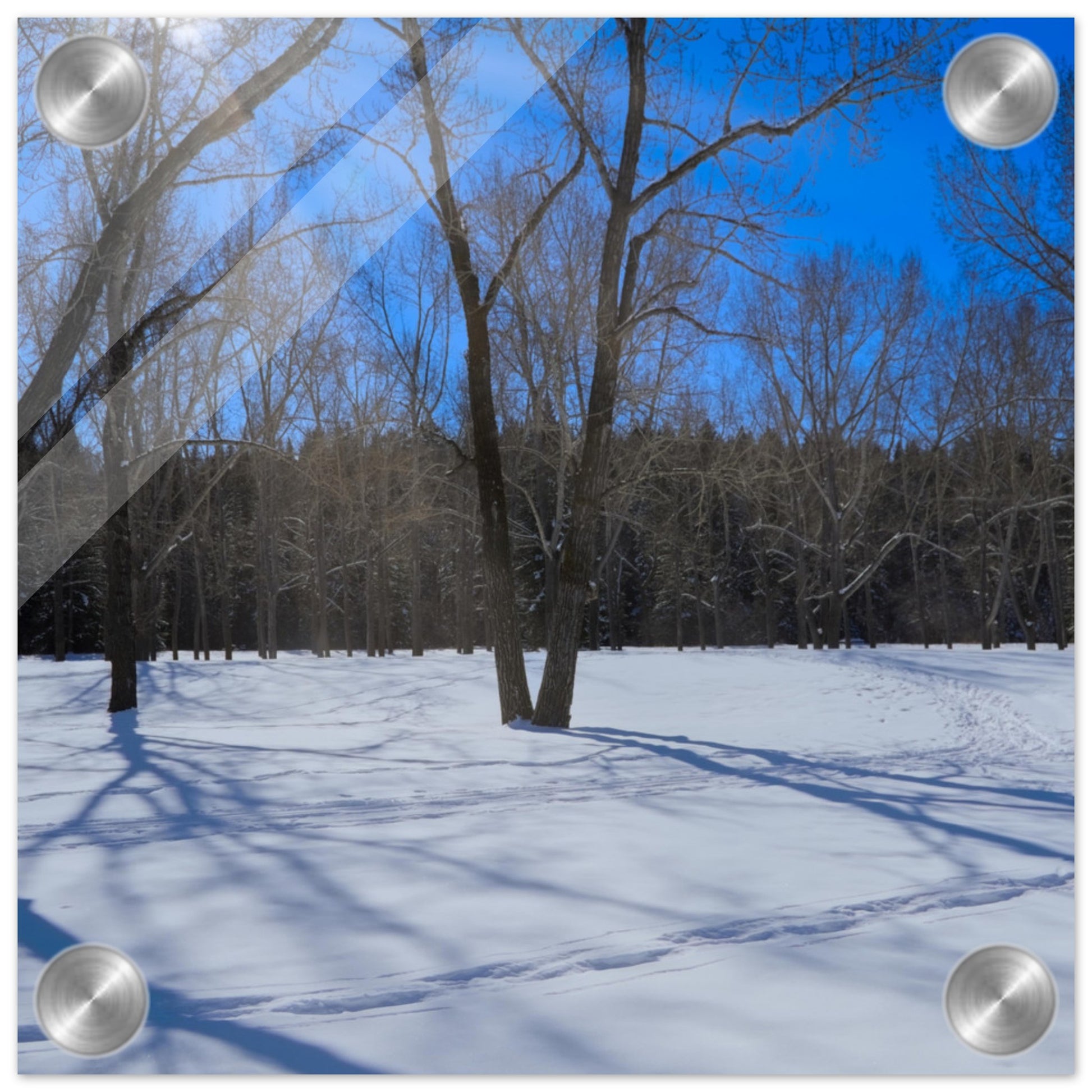 ba5939a9-e60e-4ee9-9534-e7f7ef12643e