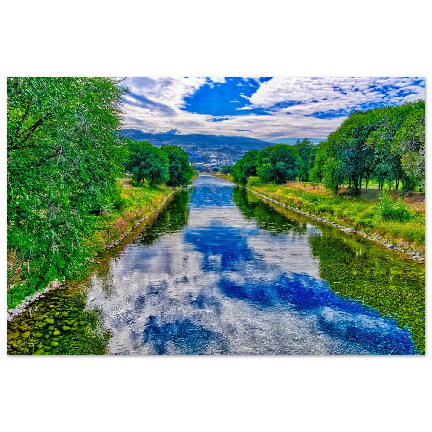 bfbb7f23-8c8a-4251-bb93-80a45177f86b
