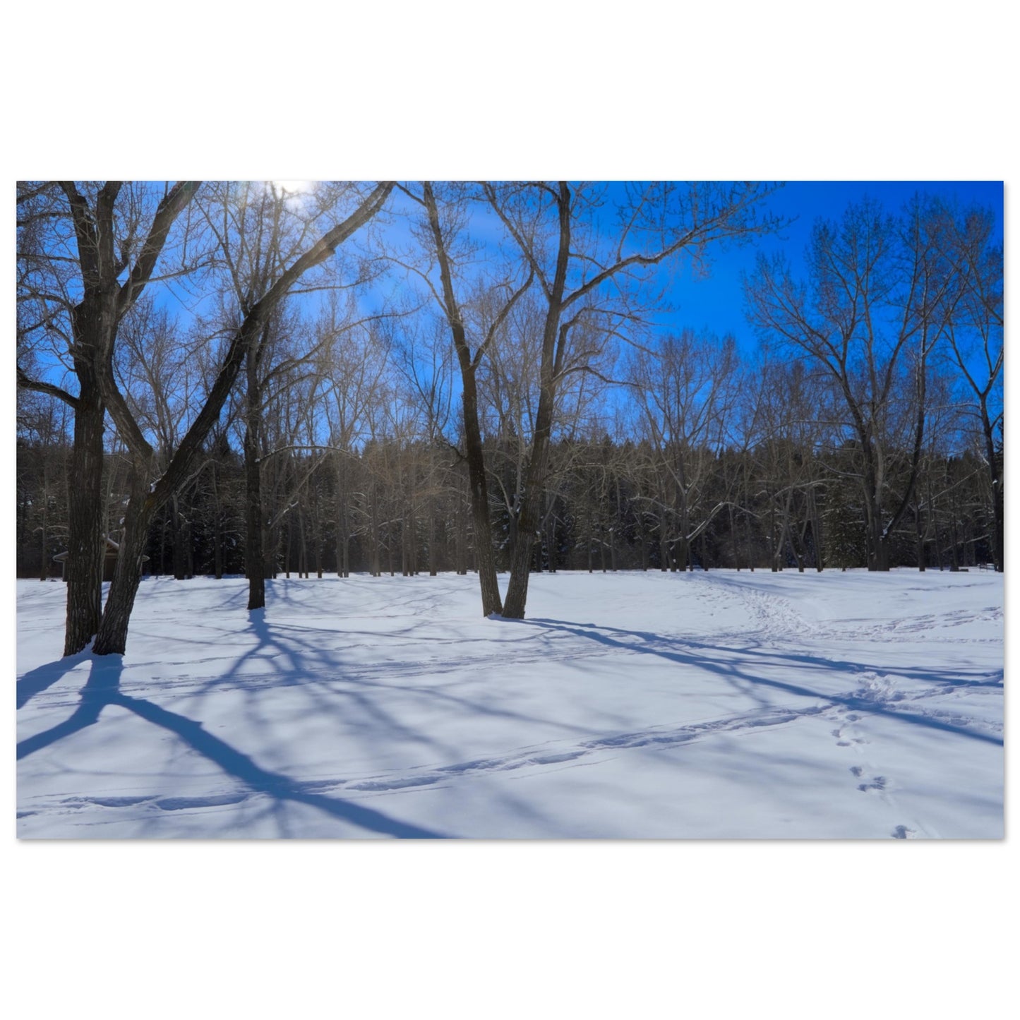 d450f065-0f4e-4adb-ab5b-eeb0ec813f27