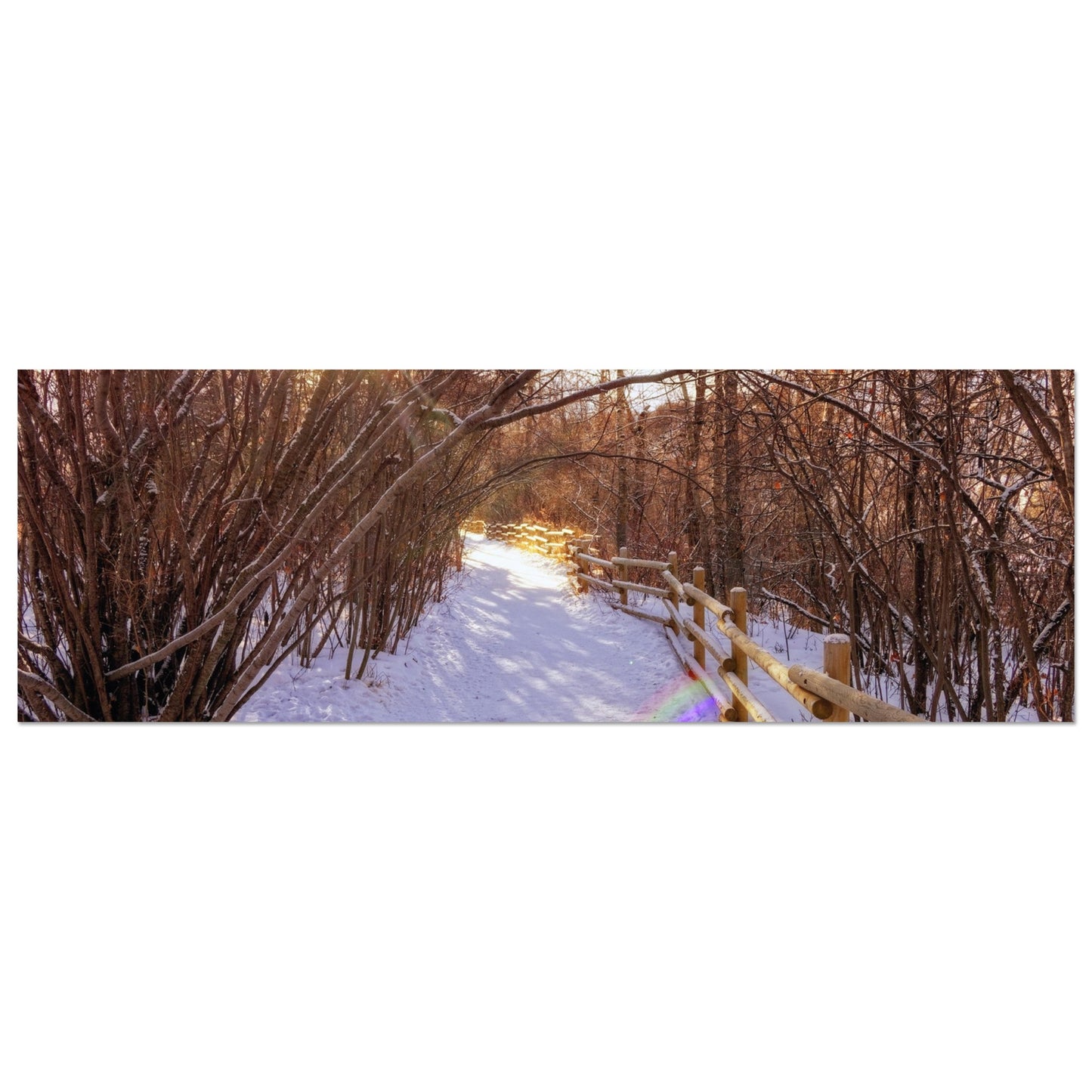 e4520042-3c2a-46f2-b028-5d99b26657d8