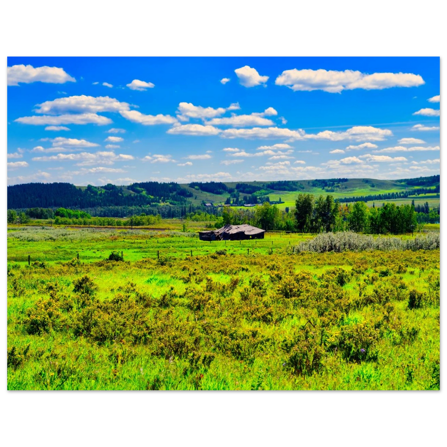 f4c5f28d-1bd7-4eb8-9d7f-42a662995669