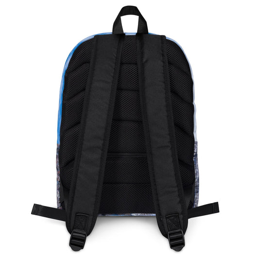 Backpack - McHugh Bluff Winter HDR