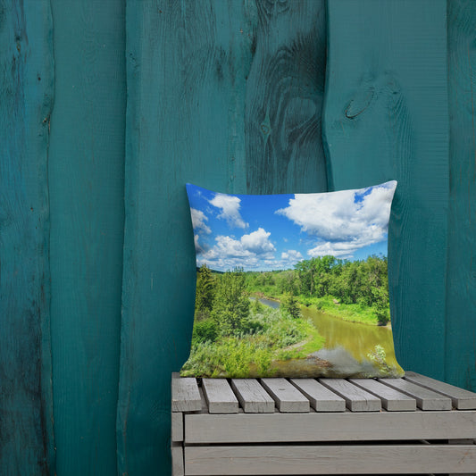Premium Pillow - Fish Creek Park Votier's Flats Lookout
