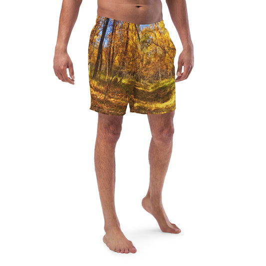 Men's Swim Trunks - Carburn Park Fall Colours