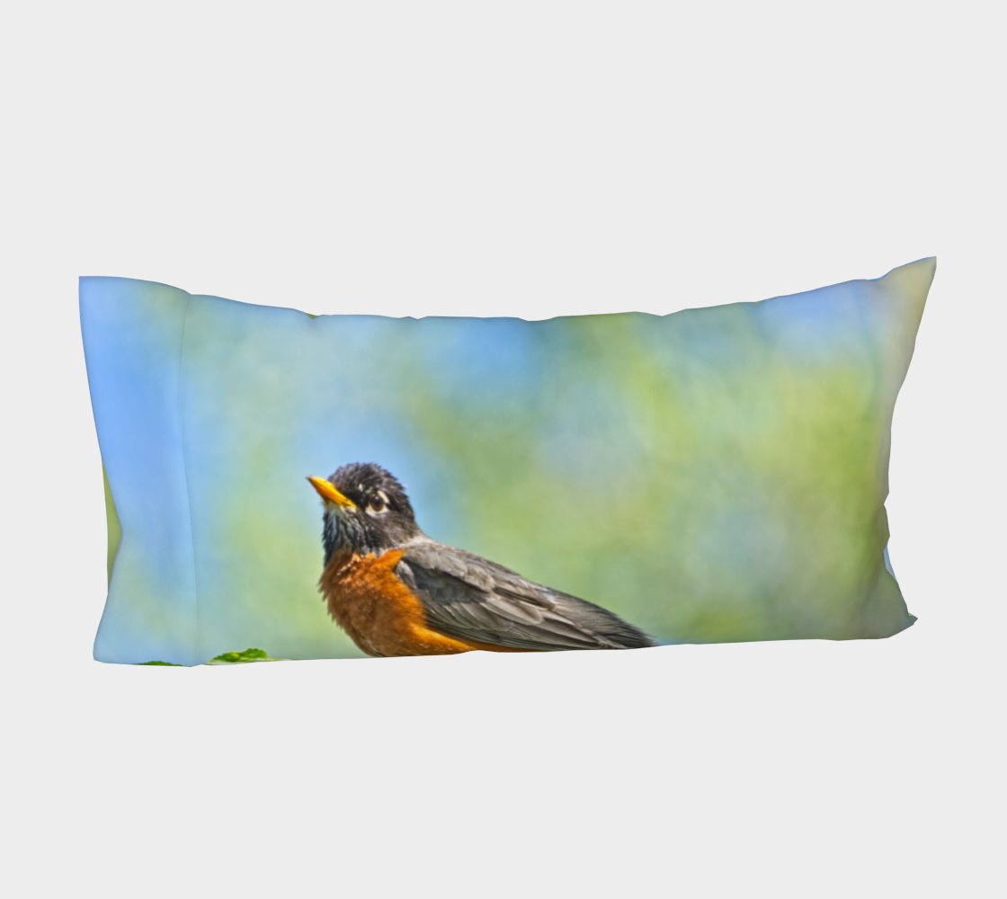 Bed Pillow Sleeve - Carburn Park Bird