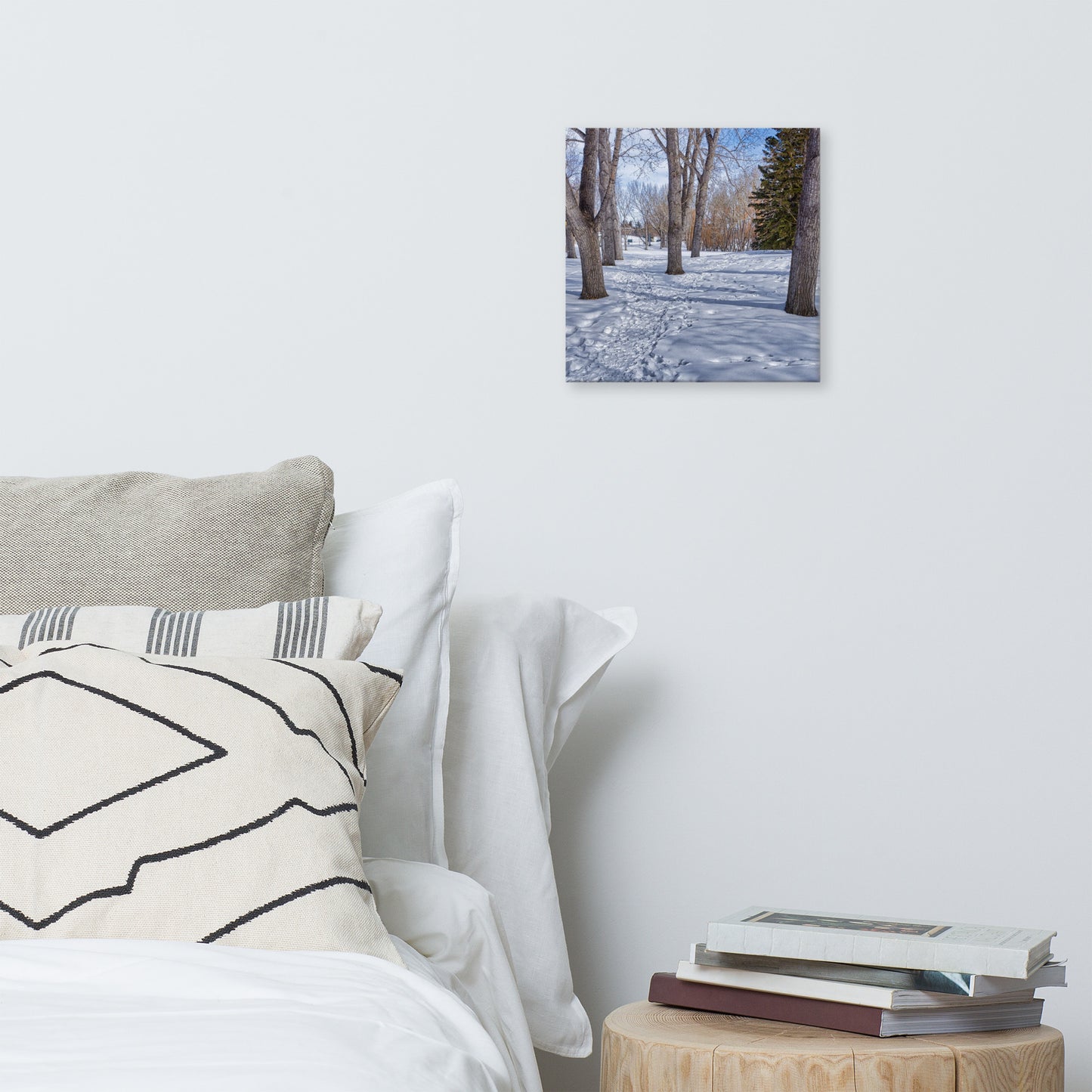 Canvas Print - Confederation Park Winter HDR