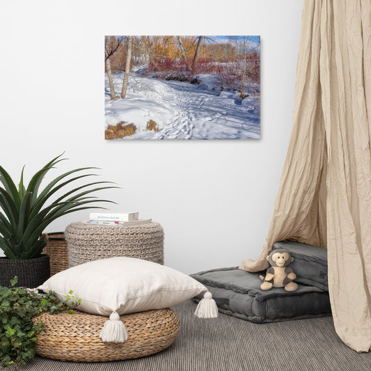 Canvas Print - Confederation Creek Winter HDR