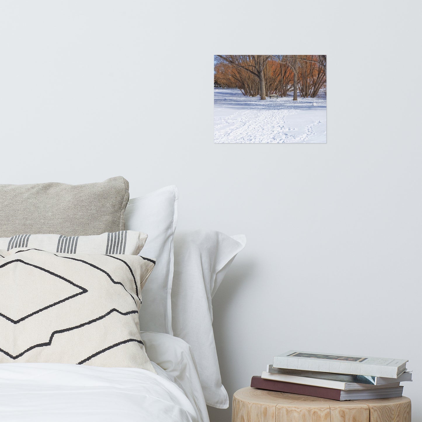 Matte Poster Print - Confederation Park Winter
