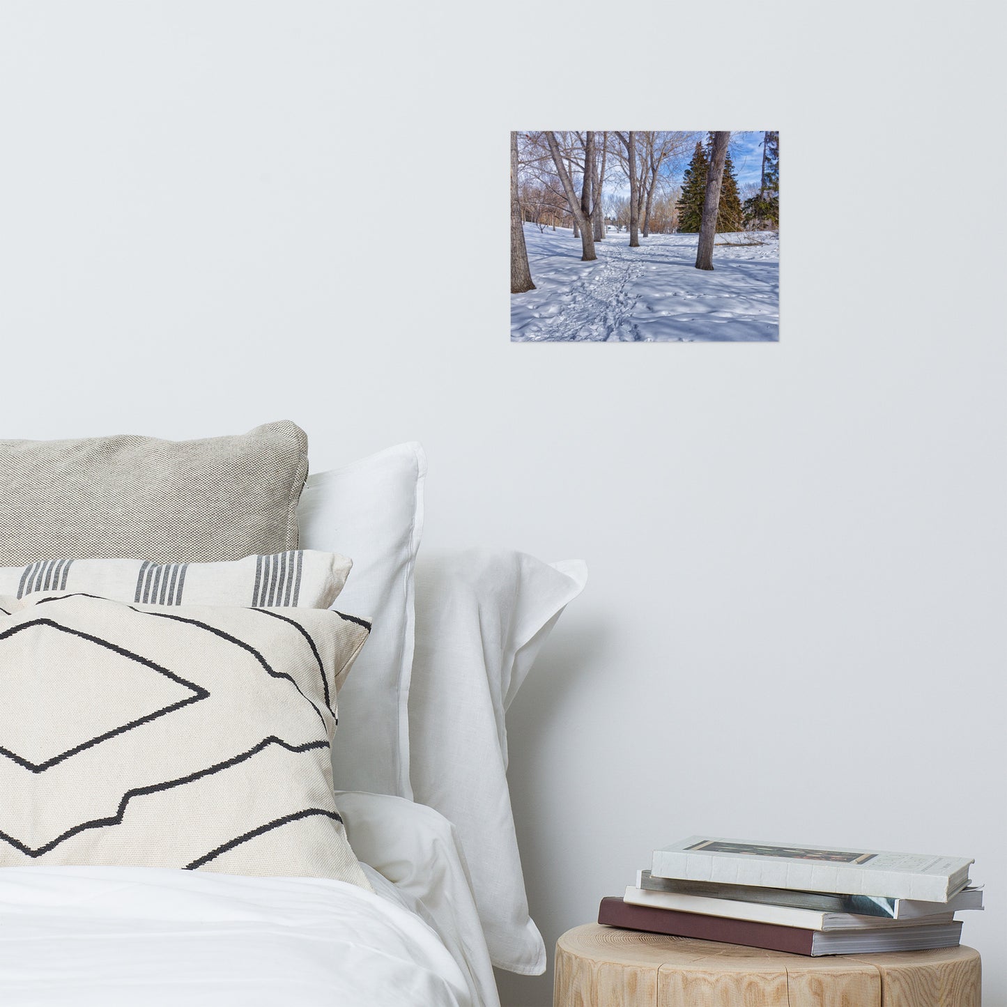 Matte Poster Print - Confederation Park Winter HDR