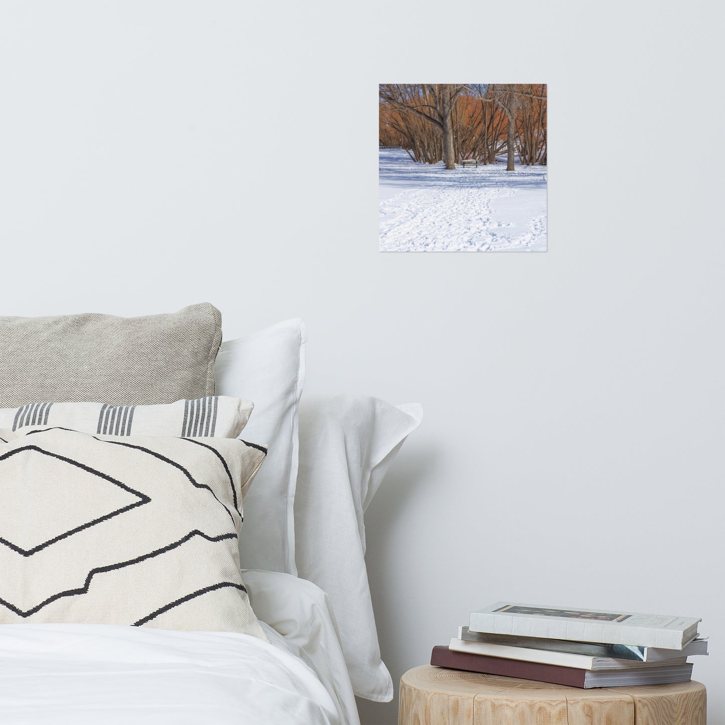 Matte Poster Print - Confederation Park Winter