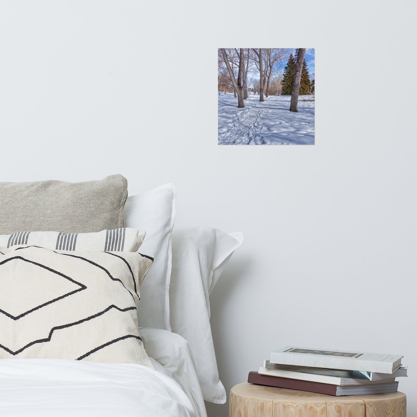 Matte Poster Print - Confederation Park Winter HDR