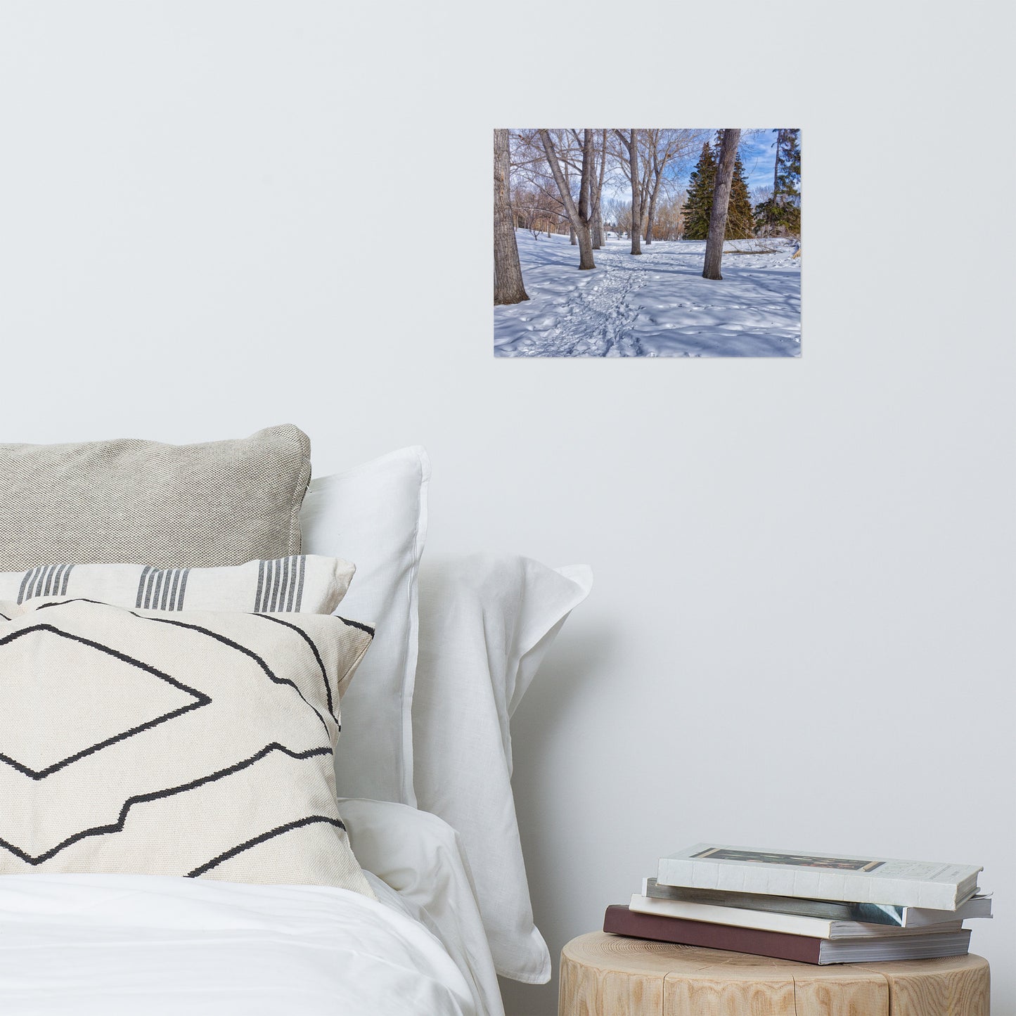 Matte Poster Print - Confederation Park Winter HDR