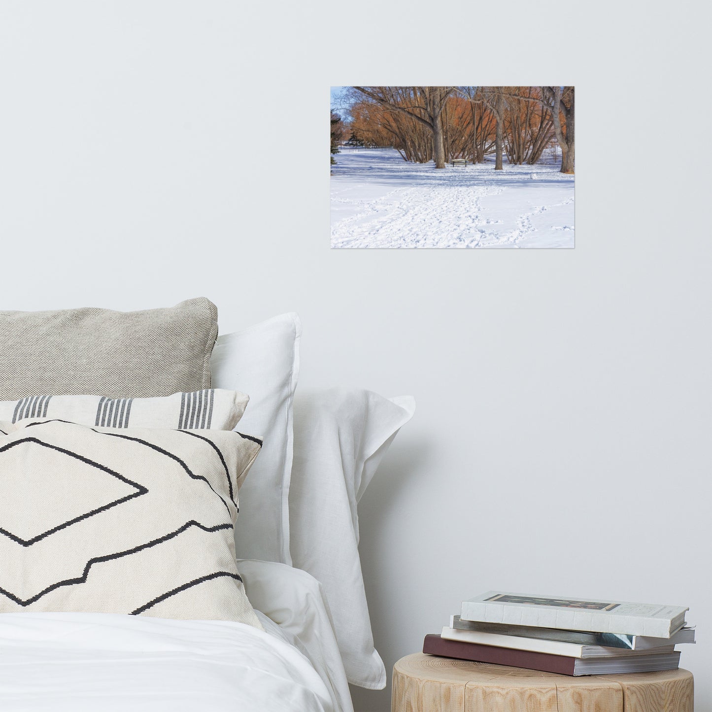 Matte Poster Print - Confederation Park Winter