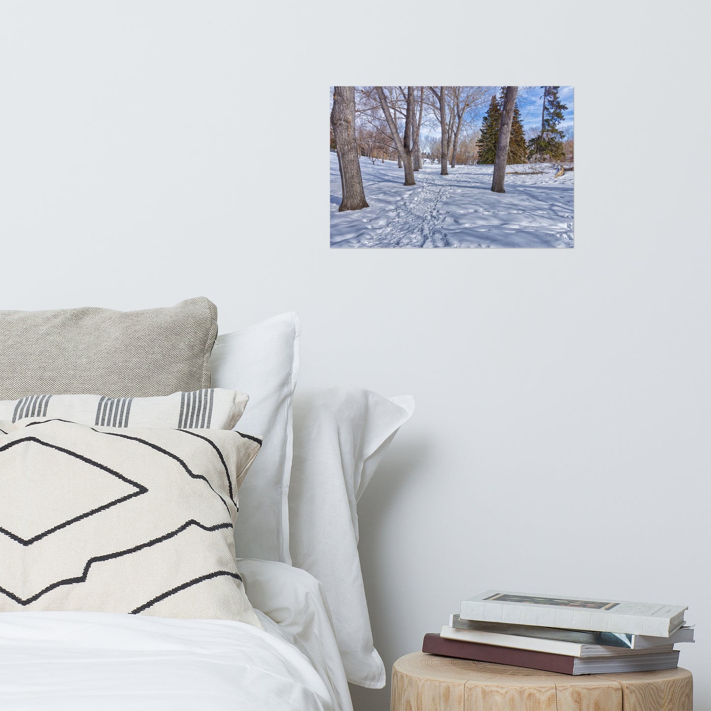 Matte Poster Print - Confederation Park Winter HDR